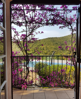 window looking out onto pool